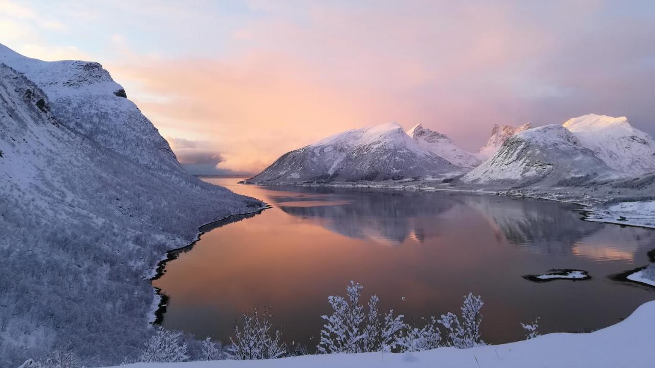 Hamn I Senja Hotel Exterior photo